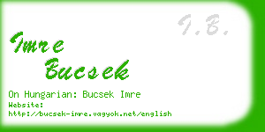 imre bucsek business card